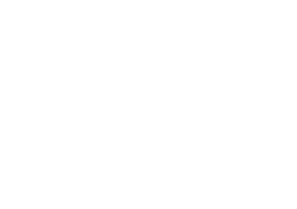 Group Daedalus